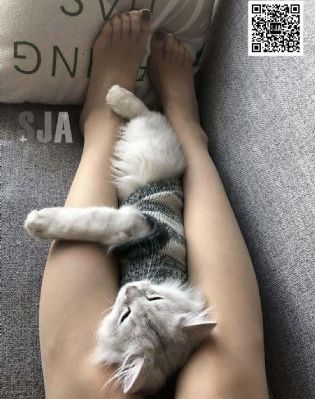学园时间静止
