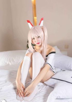 花心野玫瑰