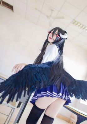 单身男女电视剧免费观看