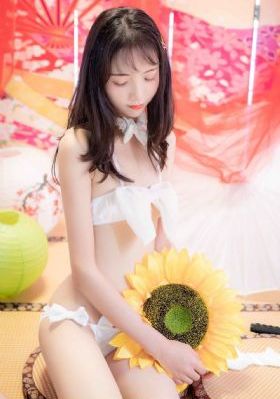 裤袜世界